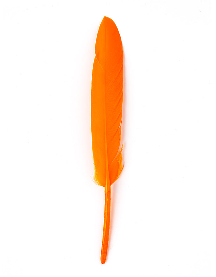 Hair product colored feather hair ornament orange AFROline (1pc)