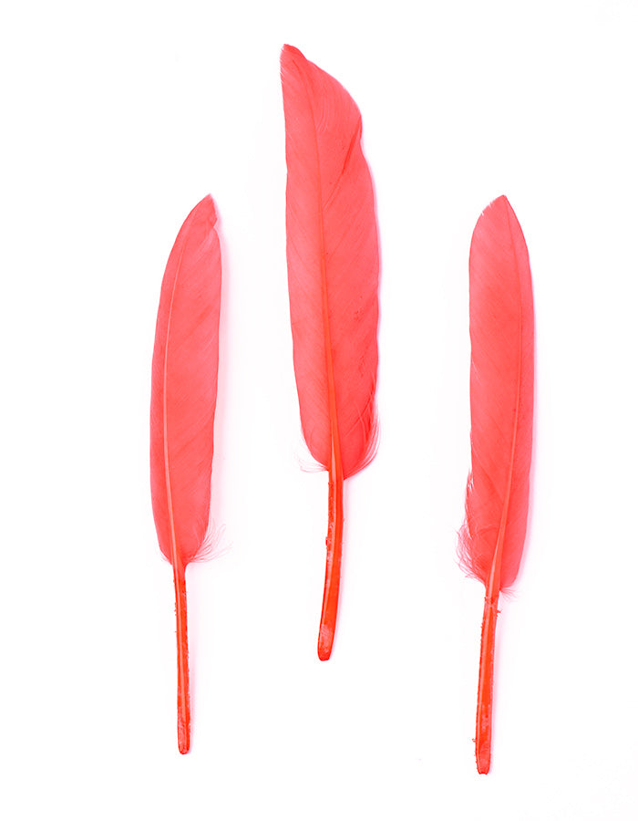 Hajékszer colored feather hair ornament Pink AFROline (1pc)